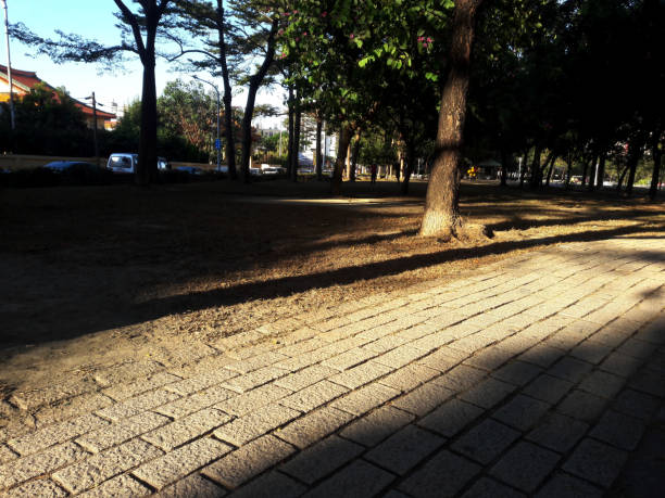 istock The stone path in the park shines in the sunset 1296970346