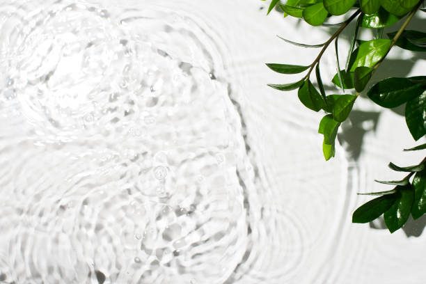 istock Organic cosmetic backdrop clean transparent water splashes with green leaf, sunlight on white background 1296971081