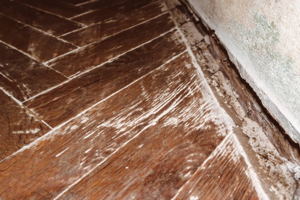 istock old wooden parquet texture angular masonry brown flooring retro 1296972374