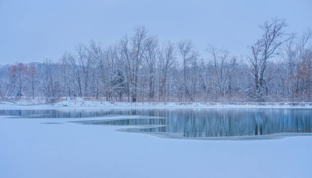 istock Frozen lake and the woods behind it 1296975269