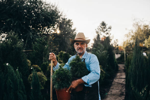 istock worker posing outdoor  in his plant nursery 1296976432