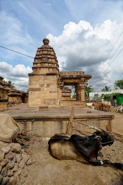 Bulls and Cart in temples complex Animal taking rest near temple at Aihole Bagalkot State Karnataka India bullock cart india stock pictures, royalty-free photos & images