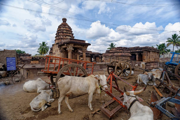 Bulls and Cart in temples complex Animal taking rest near temple at Aihole Bagalkot State Karnataka India bullock cart india stock pictures, royalty-free photos & images