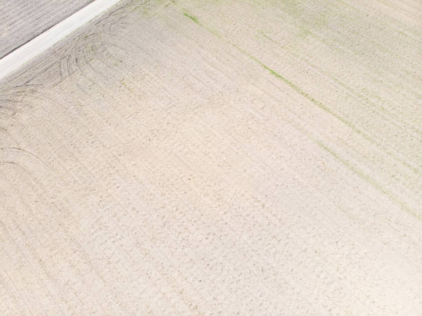 istock Aerial view. Crop agricultural fields. 1296981422