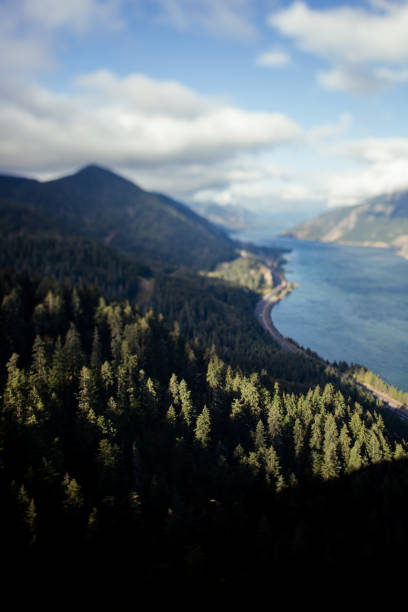 Overlooking the Columbia River Gorge