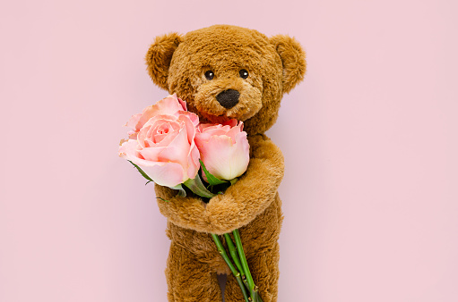 Brown teddy bear holding pink roses for Valentine's day on pink background.