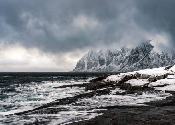 Devil's teeth rock formation on the coastline of the sea during winter blue hour in Senja, Norway.