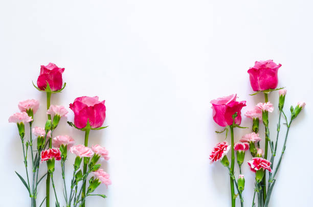 istock Colorful flowers on white background 1296984308