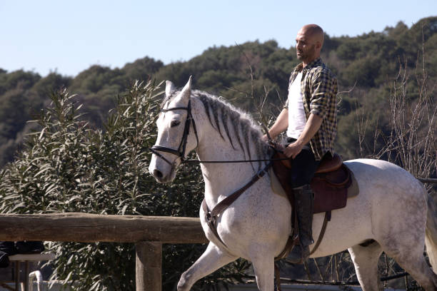 istock Young guy in casual outfit riding white horse 1296987982
