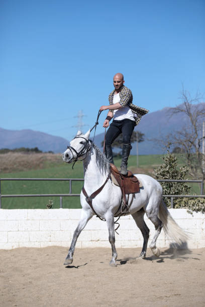 Free Stock Photo of Man Riding on Horse Holding Lantern | Download Free ...