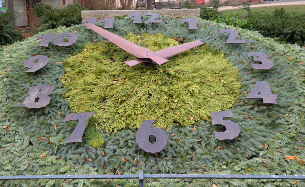 istock Clock on flowerbed lined with coniferous branches in historic downtown, Gorlitz (Görlitz),  Germany 1296989951
