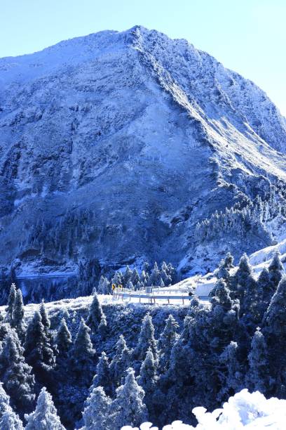 istock Snow in Hehuan Mountain 1296992089