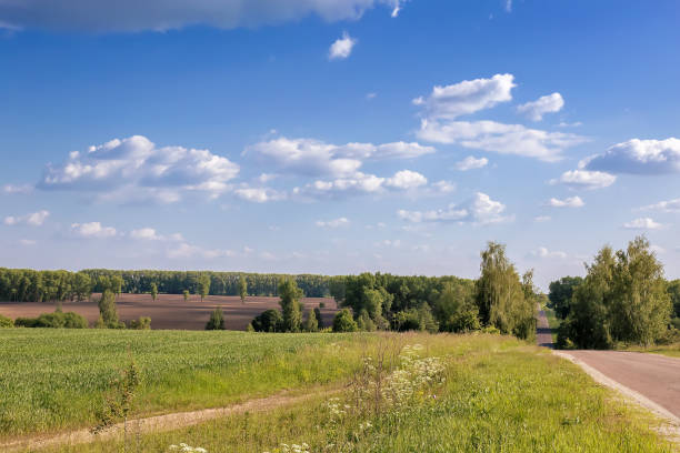 istock Summer landscape on a clear Sunny day. 1296992755