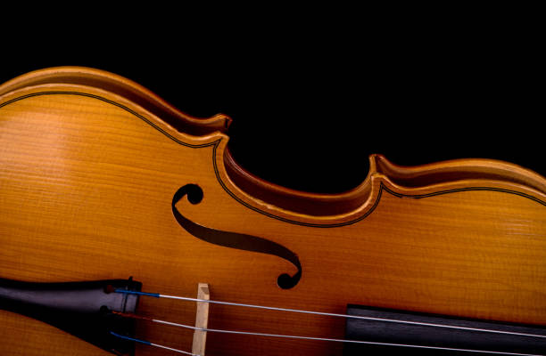 istock Violin music instrument closeup isolated on black 1296995190