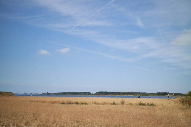 istock landscape of meadow field in summer 1296996625