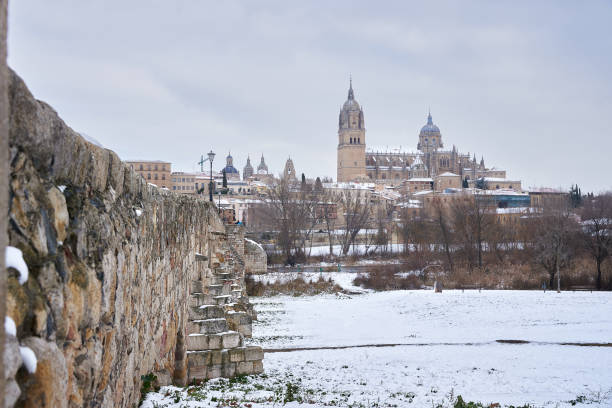 istock Salamanca Cathedral 1296998127