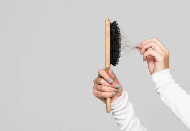 Photo of hair fall after combing in hairbrush, isolated. Hair loss problem, postpartum period, menstrual disorder, stress