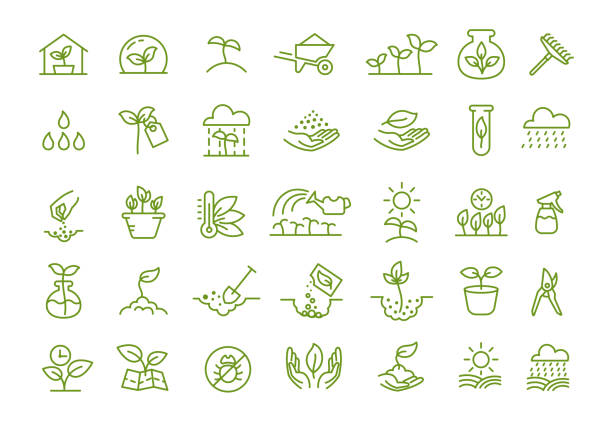 Set of icons. Growing seedlings plant shoots. Agriculture and gardener. Biotechnology plants. Sowing seeds. Vector contour green line. Growing seedlings plant shoots. Set of icons. Agriculture and gardener horticulturist. Biotechnology plants and flasks. Vector outline contour green line. agronomist stock illustrations