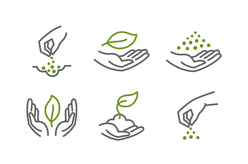 Growing seedlings in hand. Plant shoots. Set of icons. Agriculture and gardener horticulturist. Environmental protection. Vector outline contour green line.