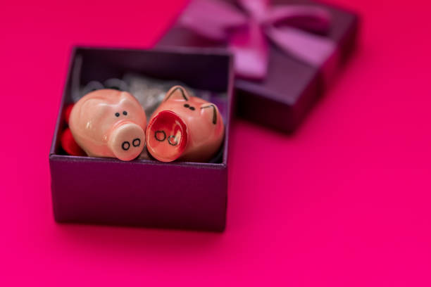 istock Two pigs in a purple gift box with a ribbon on a pink background. Composition for Valentine's Day. Flat lay, copy space, top view. 1297001380