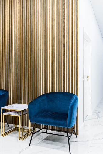 A soft velour armchair in front of striped wooden wall in a waiting room at a private medical clinic.