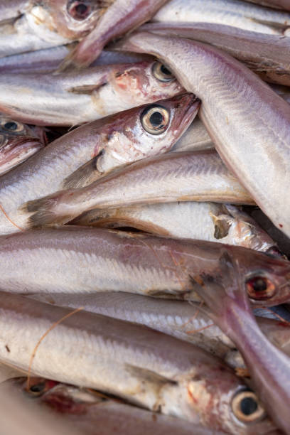 pila di merlano fresco venduto al mercato - catch of fish healthy eating hake food foto e immagini stock