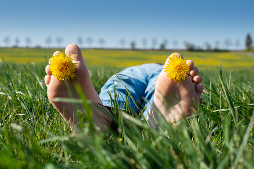 Girl relaxing on the green grass with yellow dandelion between toes in sunny spring day