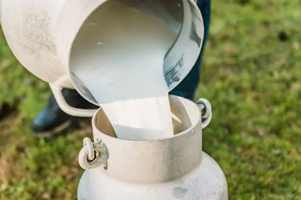 Close-up of raw milk being poured into container