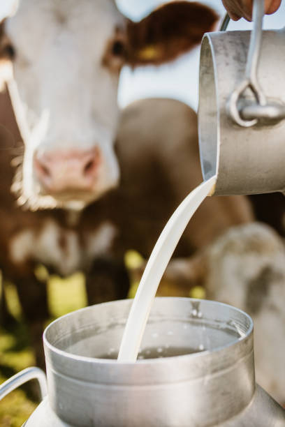 istock Close-up of raw milk being poured into container 1297005107