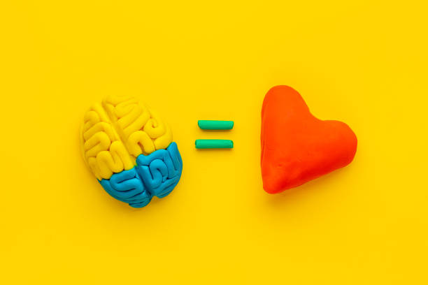 istock Emotional intelligence concept. Brain and heart made of clay, top view 1297005159
