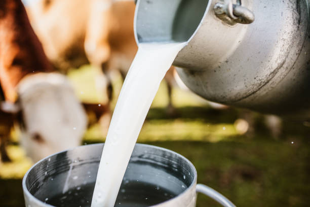 istock Close-up of raw milk being poured into container 1297005227