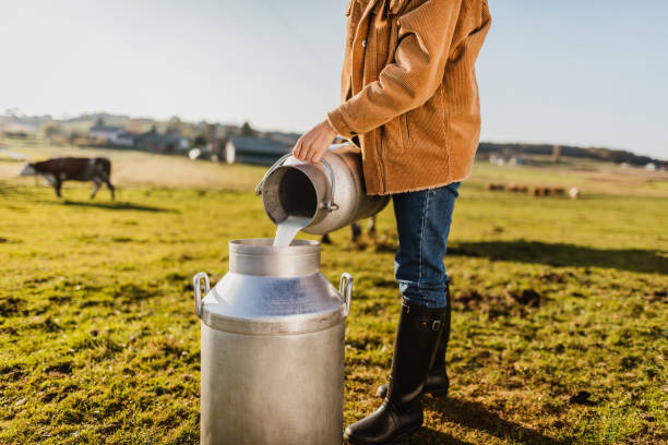 istock Female Farmer pouring raw milk into container 1297005323