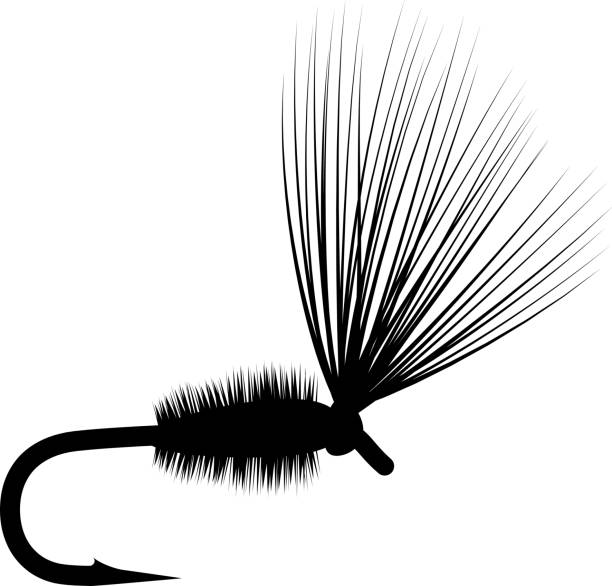 illustrazioni stock, clip art, cartoni animati e icone di tendenza di mosca secca - freshwater fishing