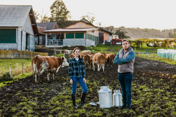 istock Young farmers with dairy cows 1297005556