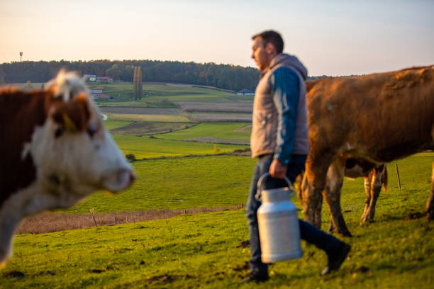 istock Young man holding milk canister 1297005767