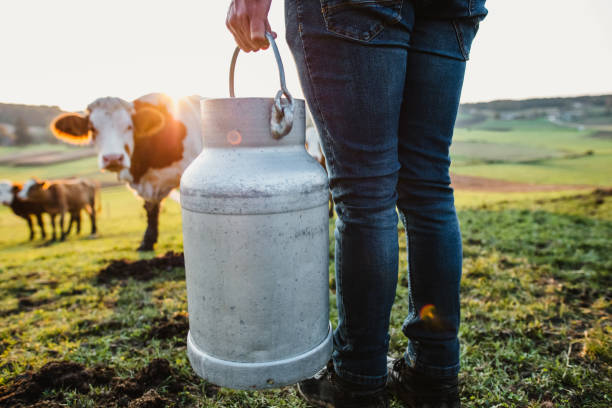 istock Young man holding milk canister 1297005927