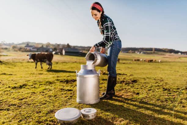 istock Farmer on pasture pouring raw milk into container 1297006005