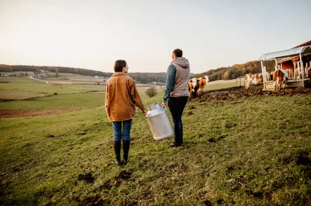 Young female and male farmer standing with milk canister at dairy farm