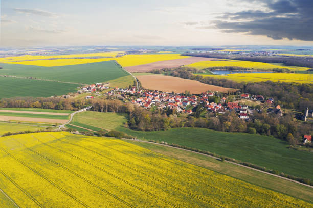 istock Aerial view of rapeseed field at sunset 1297006721