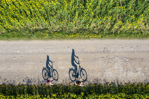 Aerial view of bicycle shadows on the empty asphalt road between rapeseed field