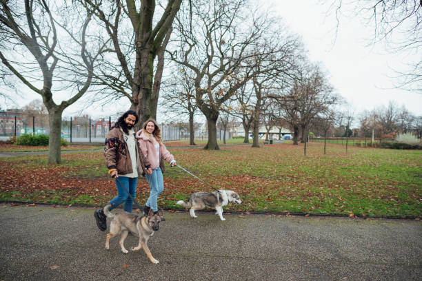 istock Couple Walking their Dogs 1297008210