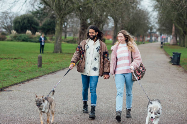 istock Dog Walking at the Park 1297008283