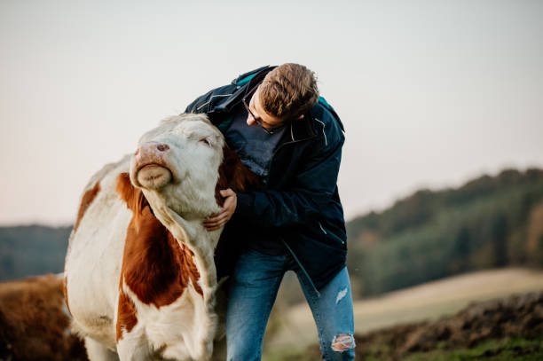 retrato de un agricultor macho de pie en su granja lechera - vacas fotografías e imágenes de stock