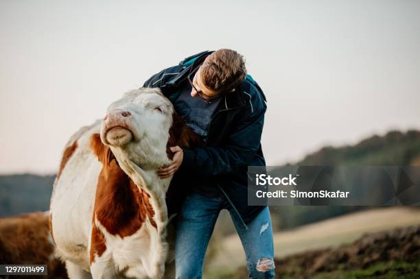 Portrait Of A Male Farmer Standing On His Dairy Farm Stock Photo - Download Image Now