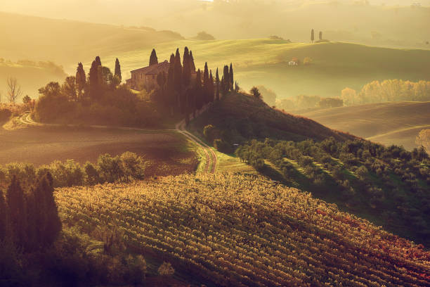 istock Sunrise in Italy 1297011704
