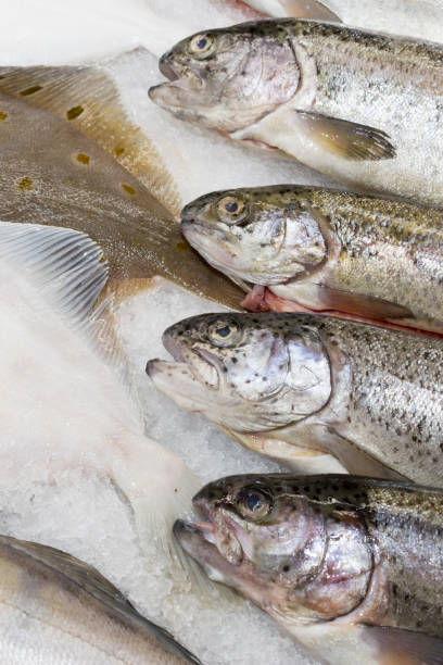 istock Fresh fish in the  supermarket 1297011840