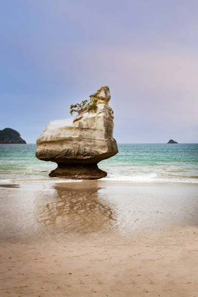 cathedral cove (te whanganui-a-hei) em coromandel penisula na nova zelândia. - new zealand cathedral cove sea sand - fotografias e filmes do acervo