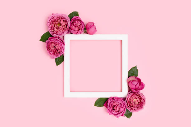 istock Empty flower frame made of rose on a pink pastel background. 1297017801