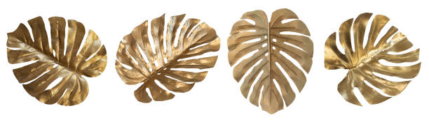 istock Tropical leaves in gold color on white space background. 1297018093