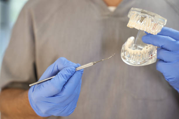 istock Dental specialist using pick to point at teeth model 1297018369